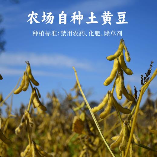 【新品上架】谦益香畴原味腐乳280g   36道传统工艺自然慢发酵  细腻绵软美味  健康百搭佐餐 商品图2