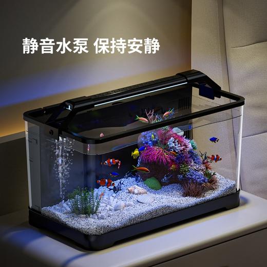 全格懒人鱼缸 商品图1