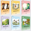 《明亮的写作课》 商品缩略图3