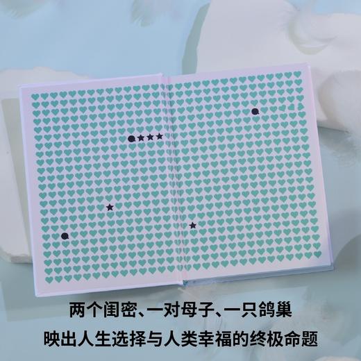 瓜达卢佩·内特尔作品集 独生女儿/红鱼之姻/真正的孤独 入围国际布克奖短名单 商品图4
