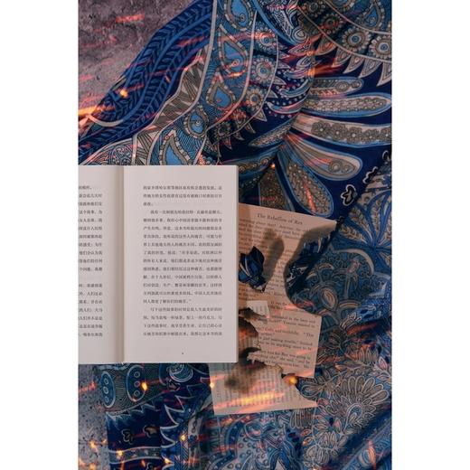 一个阿富汗女人的来信 当代幸存的阿富汗女作家哈迪亚“逃亡之作” 全球首度出版 商品图5