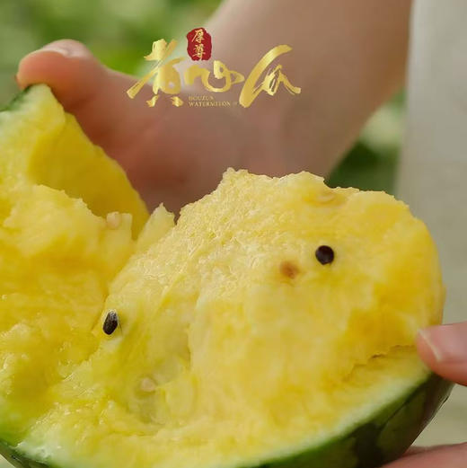 石家庄优选仓库速达，厚尊黄心西瓜，绿衣黄瓤，细腻脆爽，甜而多汁 ，自然的西瓜香沁人心脾，净重约4斤/1枚 商品图2