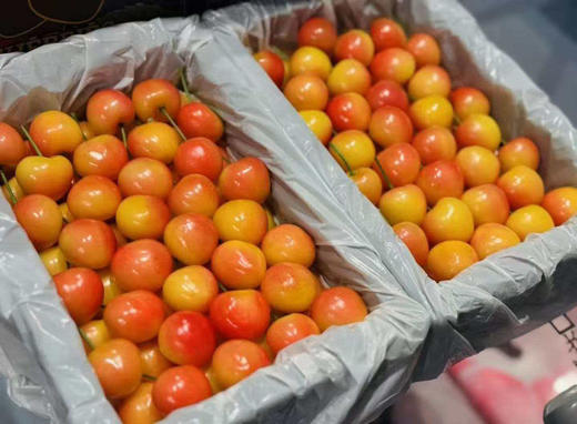 顶级美国红黄车 1.8斤礼盒装 商品图0