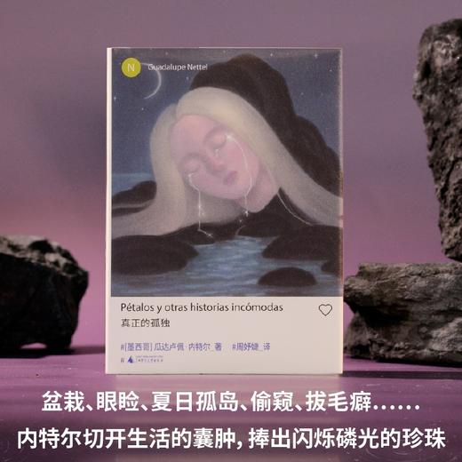 瓜达卢佩·内特尔作品集 独生女儿/红鱼之姻/真正的孤独 入围国际布克奖短名单 商品图7