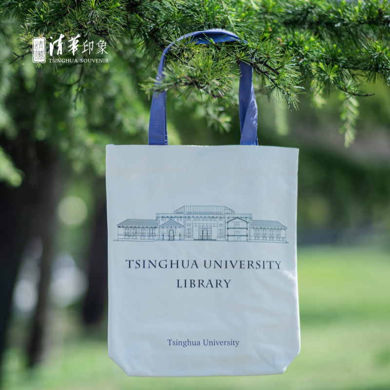 清华建筑风加厚帆布包