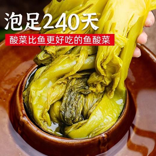 毛哥酸菜酸菜鱼专用调料包四川正宗老坛泡酸菜袋装免切免洗鱼酸菜 商品图1