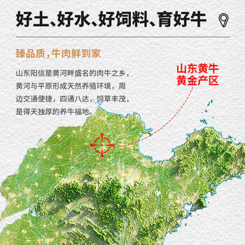 牛鲜尊&大伊 山东黄牛牛肉卷净重2斤 肥牛卷火锅健身国产牛肉 /生鲜 /猪牛羊肉 /牛肉 商品图1