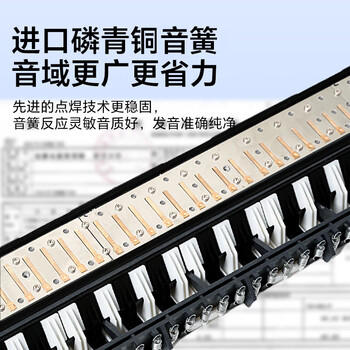 天鹅（SWAN）口风琴37键专业演奏小学生专用加吹嘴儿童成人口风琴EVA硬包黑色 商品图0