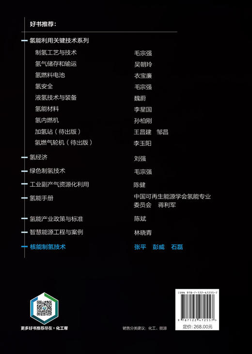 核能制氢技术 商品图4