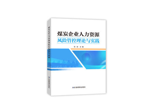 煤炭企业人力资源风险管控理论与实践 商品图0