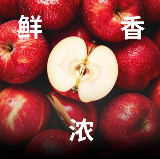 亩育万物 新疆阿克苏苹果干300g/袋 商品图2