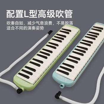 天鹅（SWAN）口风琴37键专业演奏小学生专用加吹嘴儿童成人口风琴EVA硬包黑色 商品图2