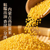 良品铺子【99元任选20件】黄米蜜枣粽100g（单拍不发货） 商品缩略图3