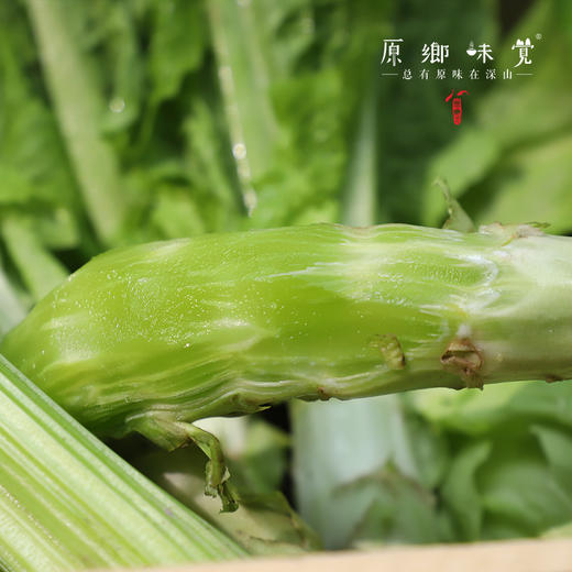 生态本地莴笋/三拼组合（农场直发-顺丰包邮） | 多种规格，成都郫都区基地，【原乡农场，自产自销】 商品图8
