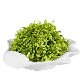 【预定】夜香花 鲜食