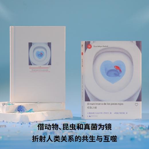 瓜达卢佩·内特尔作品集 独生女儿/红鱼之姻/真正的孤独 入围国际布克奖短名单 商品图9