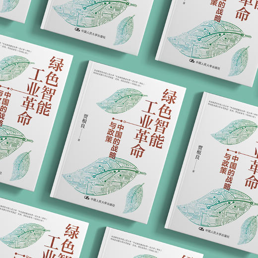 《绿色智能工业革命：中国的战略与政策》 商品图2