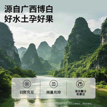 同仁堂品牌 北京同仁堂龙眼肉500g 桂圆肉干去核可搭枸杞菊花泡水养生茶 商品图2