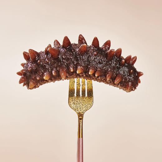 四季温补 八珍之首 刺粗肉厚 开袋即食不挂冰海参 大连原产有机辽参 商品图6