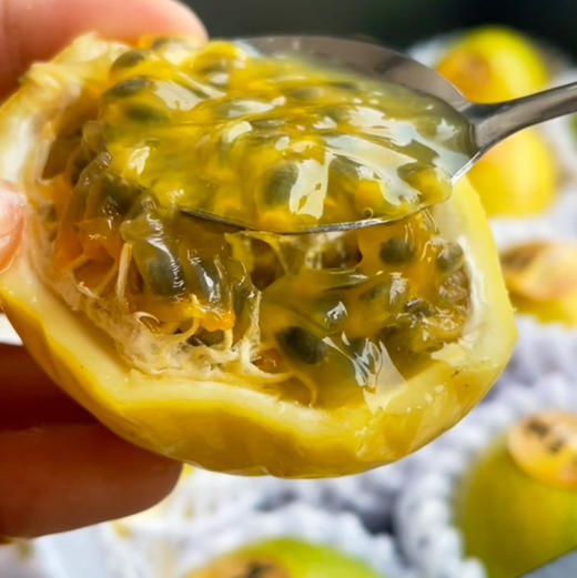 桂蜜5号百香果，口感秒杀钦蜜9好，有着独特的桂花香，特大果，2斤/份 商品图1