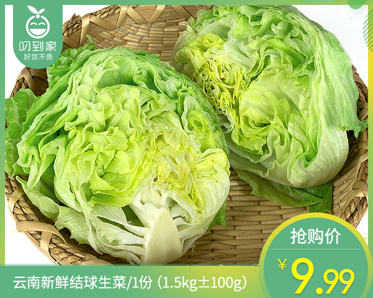 云南新鲜结球生菜/1份（1.5kg±100g）