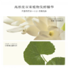 【恬趣轻奢专属】AromeManpo/馥郁满铺 晚香玉光感发酵乳液面膜 30g/P  30g-1片 商品缩略图3