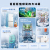 【新品上市】TCL方墩墩601升T9N十字对开双开四开门大容量双系统双净味零嵌新一级冰箱R601T9N-UQS 商品缩略图2