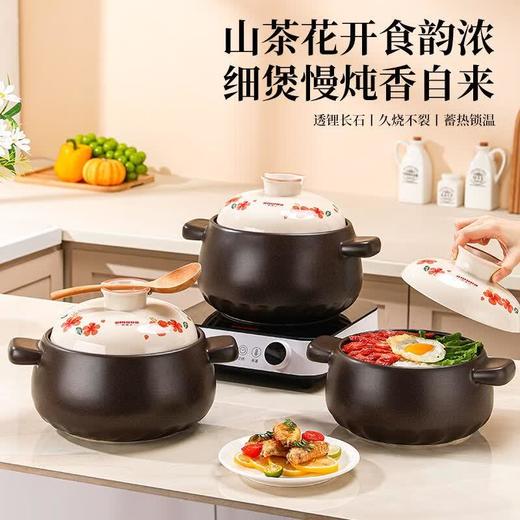 欧美达-悦味陶瓷煲2.8L 商品图0