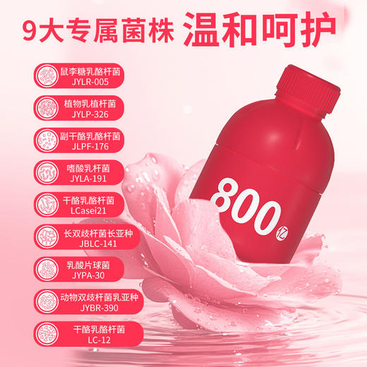 【菌群给力！多维营养组合】小红瓶胶原蛋白蔓越莓女性益生菌冻干粉成人复合富硒益生菌粉饮料。xb 商品图1