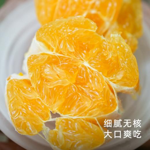 艾格吃饱了2026年四川柠檬不知火果香清冽 商品图2