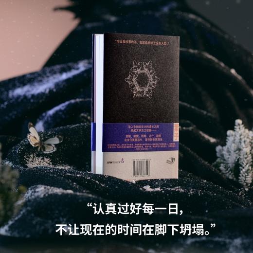 献灯使（连年诺奖赔率榜高位作家多和田叶子，温柔书写反乌托邦末世小说集：日本沉没、人类灭绝，用语言灵力塑造灾后文学顶点，获美国国家） 商品图7