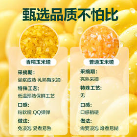 北纯五常香糯玉米碴 3斤装 玉米糁 大碴粥  免浸泡 易煮易熟（大碴） /粮油调味 /杂粮 /谷米类