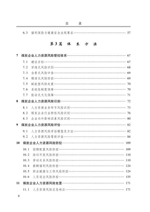 煤炭企业人力资源风险管控理论与实践 商品图2