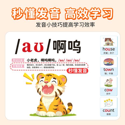 【4册】小学英语（单词+音标+范文+语法） 商品图3