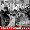 正宗四川宜宾长条芽菜750g鲜香 散装碎米芽菜鸡米牙菜干燃面扣肉 商品缩略图4