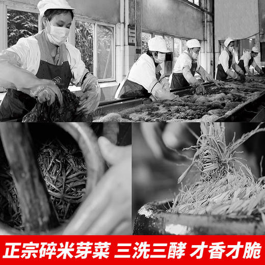 正宗四川宜宾长条芽菜750g鲜香 散装碎米芽菜鸡米牙菜干燃面扣肉 商品图4