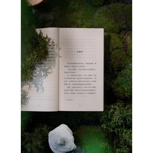 家守绮谭（万物有灵的生命美学，治愈系的“草木聊斋”。日本文学女巫梨木香步代表作，自然文学+奇幻精怪，给疲惫现代人的一帖文学草药） 商品图5