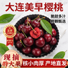 【大连美早樱桃】核心产区10年老树自然熟，原生态种植，无催熟无膨大剂。（72小时内发货，节假日顺延） 商品缩略图3