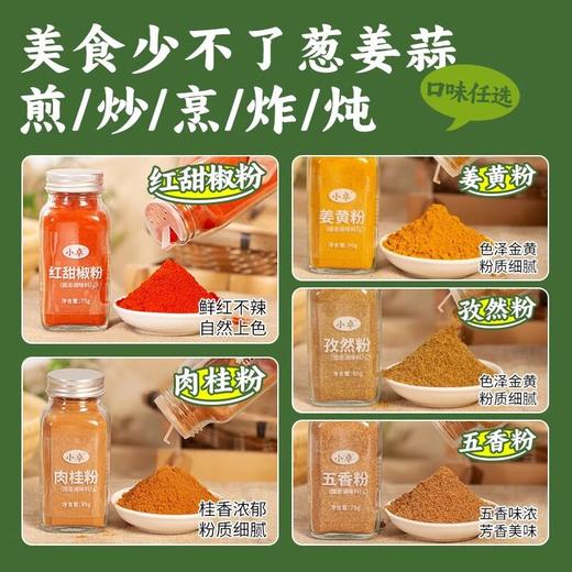 大蒜粉洋葱粉香葱粉孜然粉调料组合套装烧菜烧汤增香去腥厨房调料 商品图2