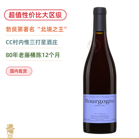 80年稀有老藤黑皮诺！勃艮第北境酒王“八大爷” 西湾酒庄勃⾉第红葡萄酒 Domaine Sylvain Pataille Bourgogne Rouge 2022