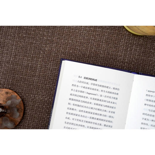 大学问·后欧洲（许煜全新自传式专著，探索当代技术迷思，通往许氏哲学的理想入门读物。） 商品图7