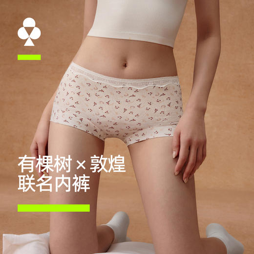 【新品上新】【敦煌联名】有棵树纯棉蕾丝性感中腰女士平角内裤3条装-U4020 商品图0