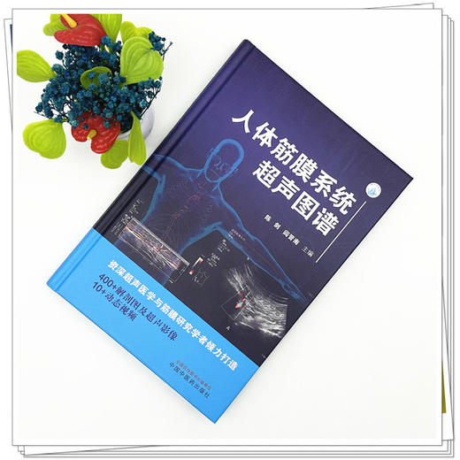人体筋膜系统超声图谱 陈剑 阎晋南 主编 中国中医药出版社 商品图1