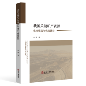 我国关键矿产资源供应现状与保障路径