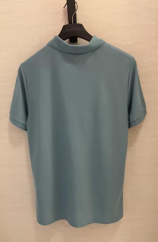 艾高 短袖POLOT恤男  BQ244-F . 商品图1