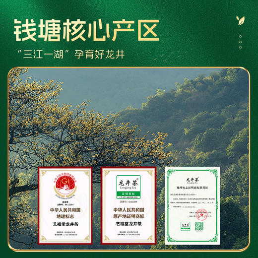 艺福堂纸杯龙井茶18g/筒 商品图5