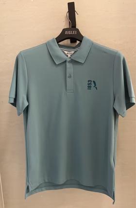 艾高 短袖POLOT恤男  BQ244-F .