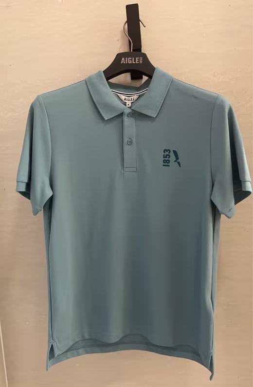 艾高 短袖POLOT恤男  BQ244-F . 商品图0