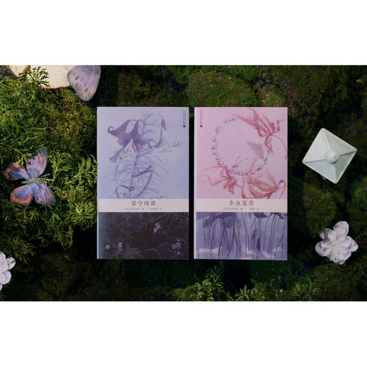 家守绮谭（万物有灵的生命美学，治愈系的“草木聊斋”。日本文学女巫梨木香步代表作，自然文学+奇幻精怪，给疲惫现代人的一帖文学草药） 商品图4