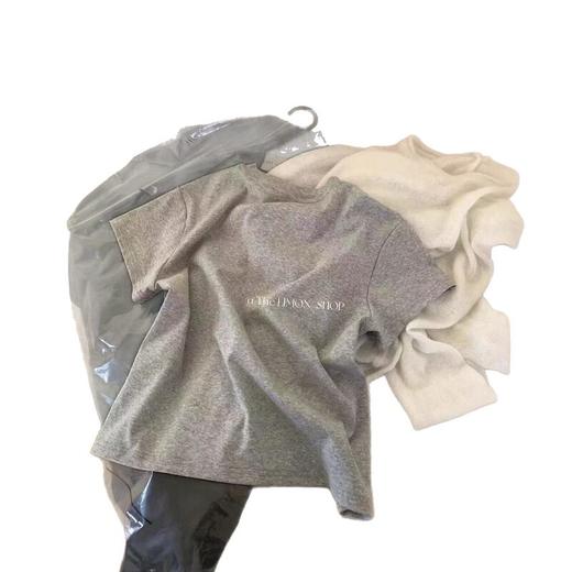 韩系小马刺绣圆领短袖T桖女夏季新款设计款宽松休闲正肩体恤上衣   NDK-T2001 商品图4